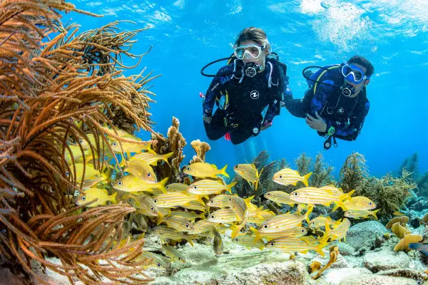 Маски и трубки для подводного плавания Aqua Lung Маски и трубки для подводного плавания Aqua Lung